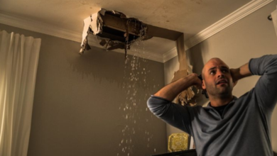 Essential Tips for Plumbing Services During Septic System Installation
