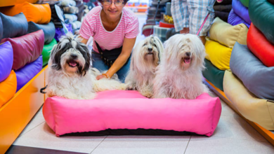 Buy Pet Bed: The Complete Guide to Choosing the Perfect Bed for Your Beloved Pet 