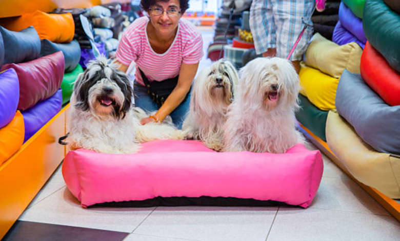 Buy Pet Bed: The Complete Guide to Choosing the Perfect Bed for Your Beloved Pet 