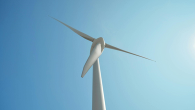 Understanding Ontario Wind Turbines: How They Fit into the Province’s Energy Landscape