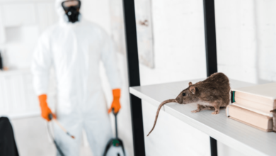 Commercial Pest Control Strategies for Chelmsford Businesses