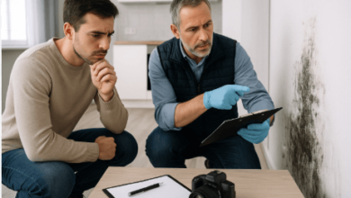 How Can You Get a Free Mold Inspection for Your Rental Property?