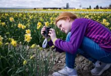 How to Capture Your Garden’s Seasonal Changes in a Travel Photo Album