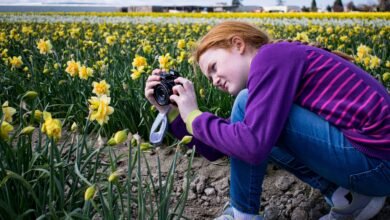 How to Capture Your Garden’s Seasonal Changes in a Travel Photo Album